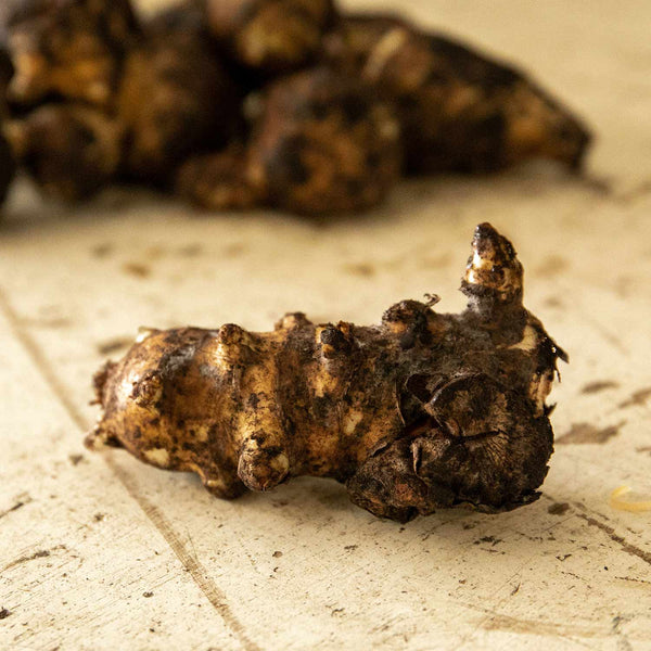 Jerusalem Artichoke Tuber 'Fuseau'