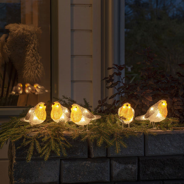 Family of Robins Lights Set of 5