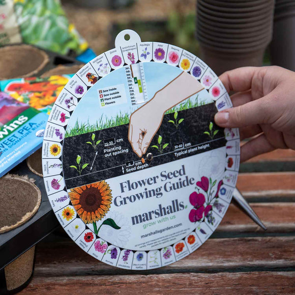 Marshalls Flower Seed Guide Wheel