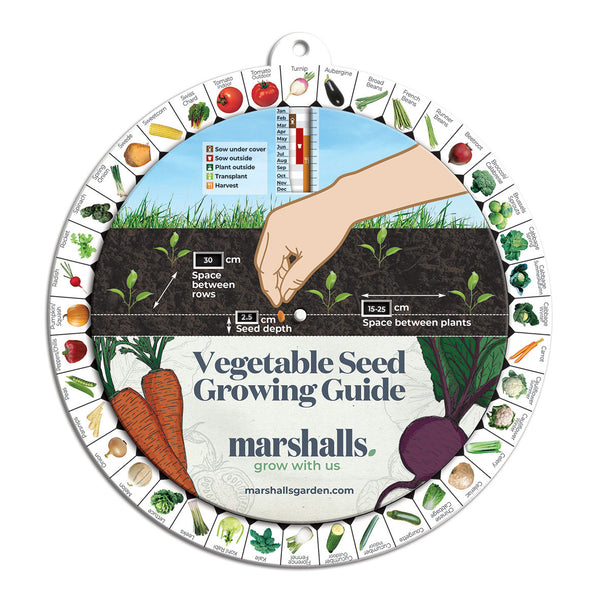 Vegetable Seed Guide Wheel