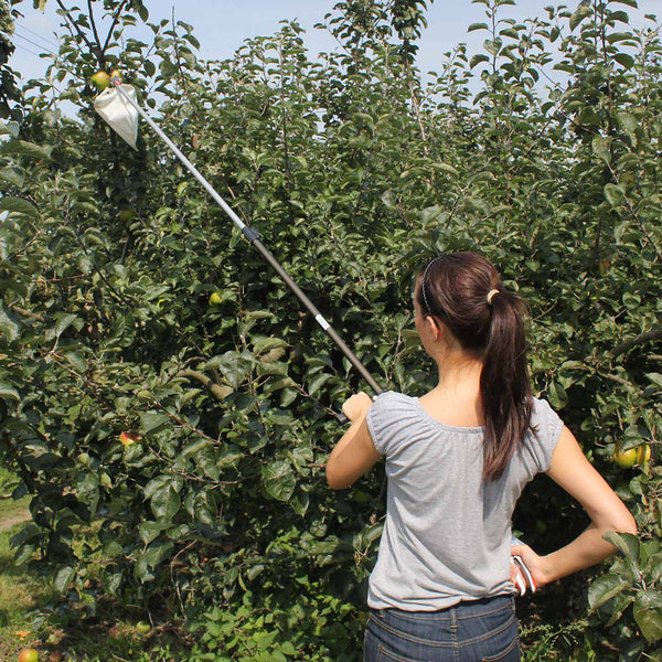 Telescopic Fruit Picker