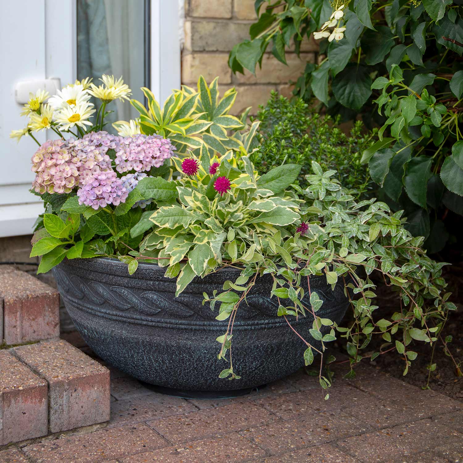 Corinthian Graphite Style Instant Plant Pond Bowl Buy Pond