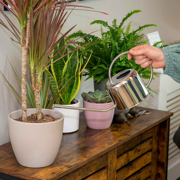 Stainless Steel Watering Can - 1L