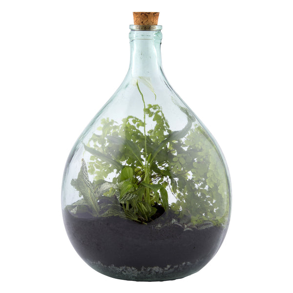 DIY Terrarium Planter - 15 Ltr Set