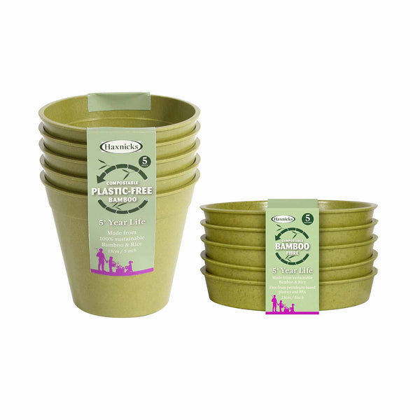 Bamboo Pot & Saucer Set 5