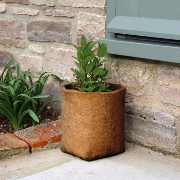 Hemp Pot Planters - 3 x 5 Ltr Plant Pots