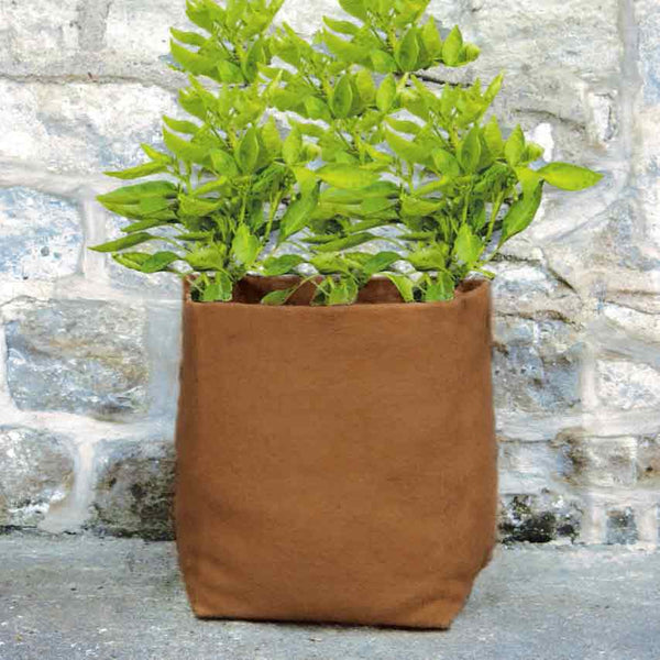 Hemp Pot Planters - 3 x 20 Ltr