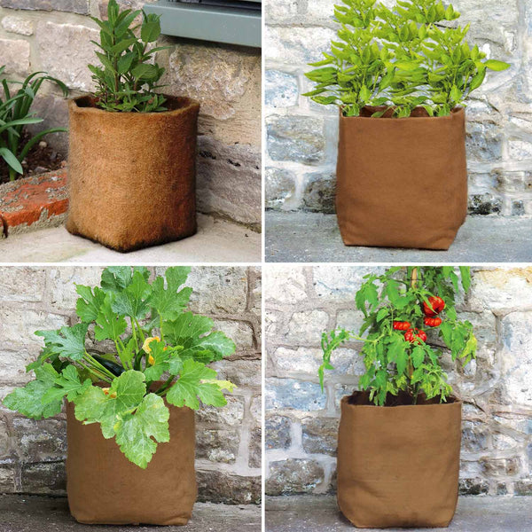 Hemp Pot Planters set of 4 (1 of each size)