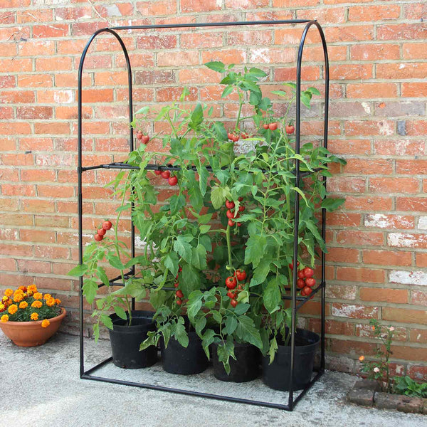 Tomato Crop-Booster Frame