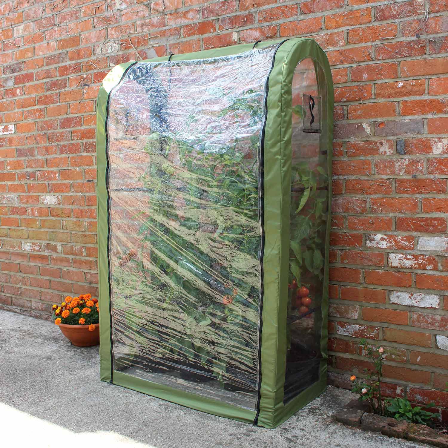 Tomato Crop Booster Poly Cover