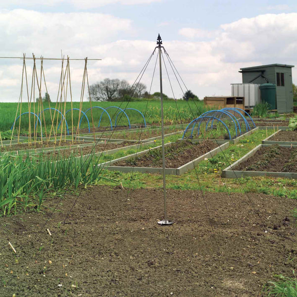 Maypole Plant Support