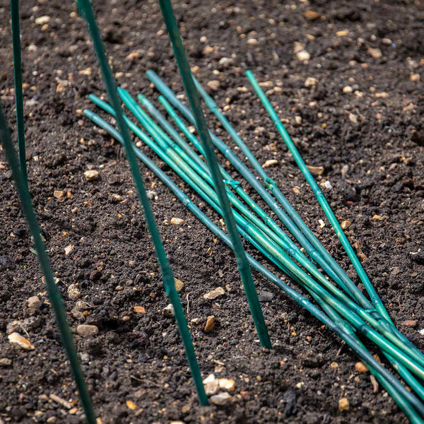 Green Bamboo Canes 90cm - 45 Canes