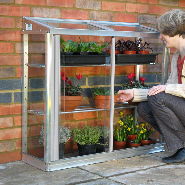 Half Westminster Classic Small Mini Greenhouse