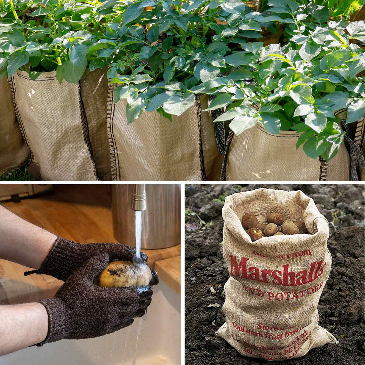 Potato Bag Kits