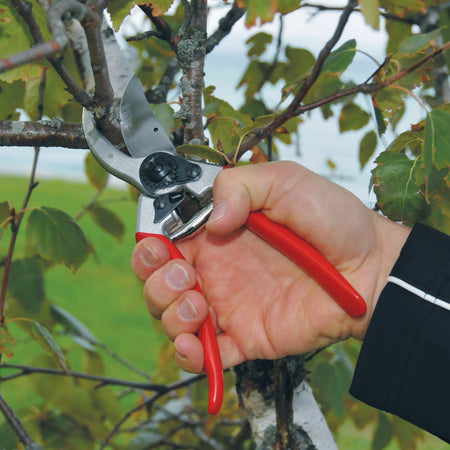 Felco Standard Right Handed Secateurs Model 2 in Large