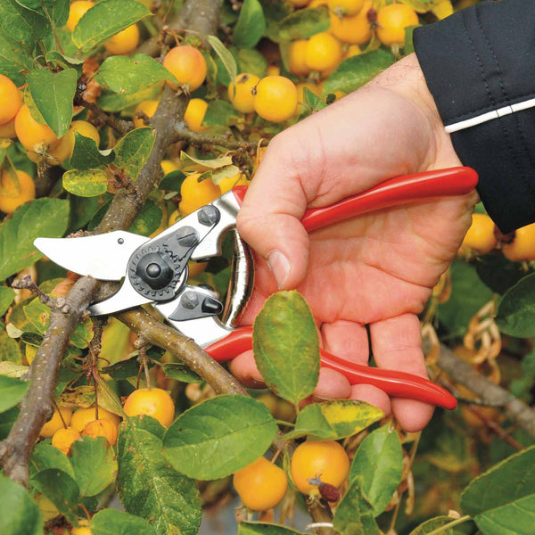 Felco Ergonomic Secateurs Model 6 - Medium