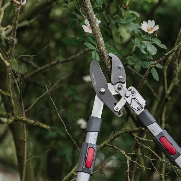 Kent & Stowe Telescopic Ratchet Anvil Loppers