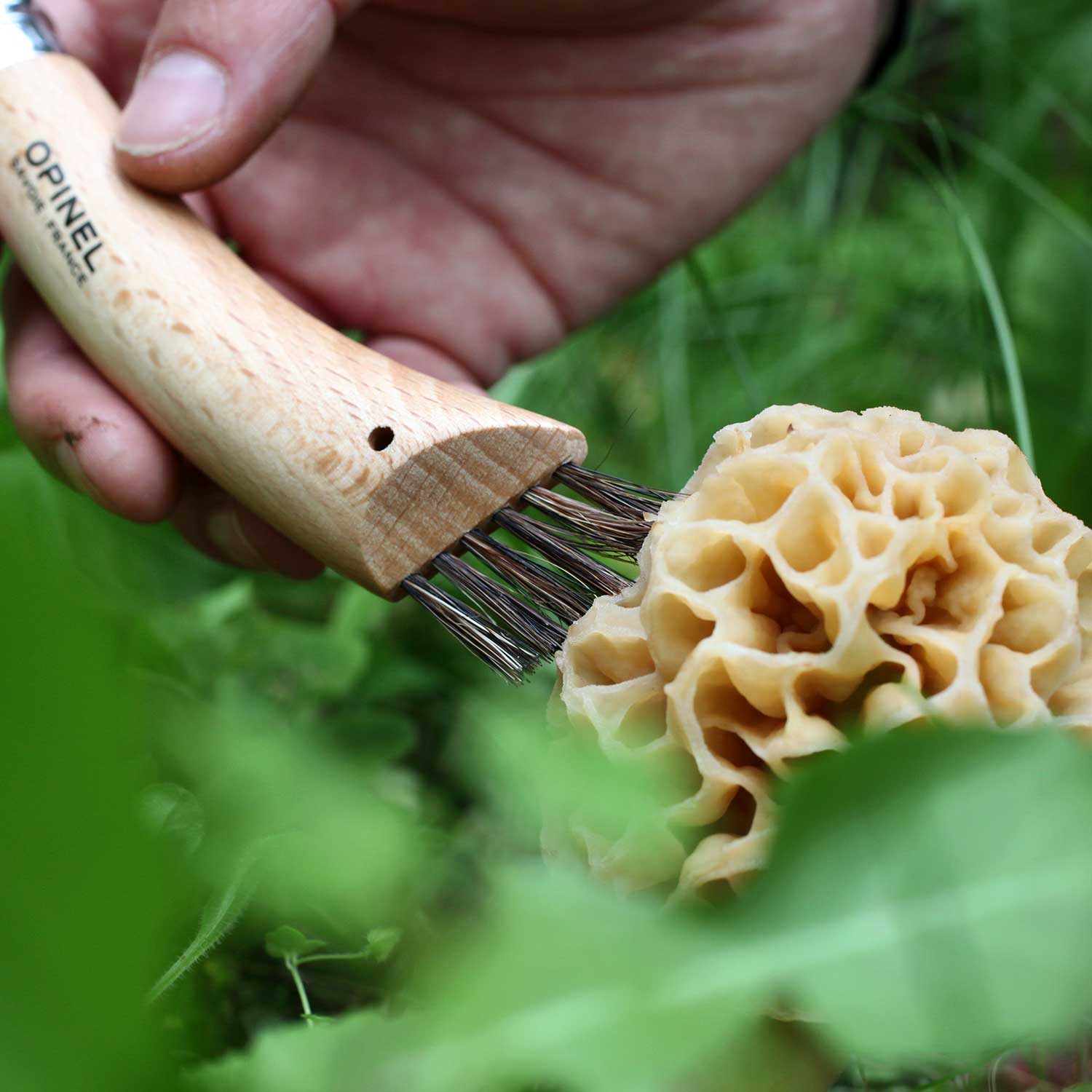 Mushroom Knife with Sheath Gift Set Buy Mushroom Knife Online