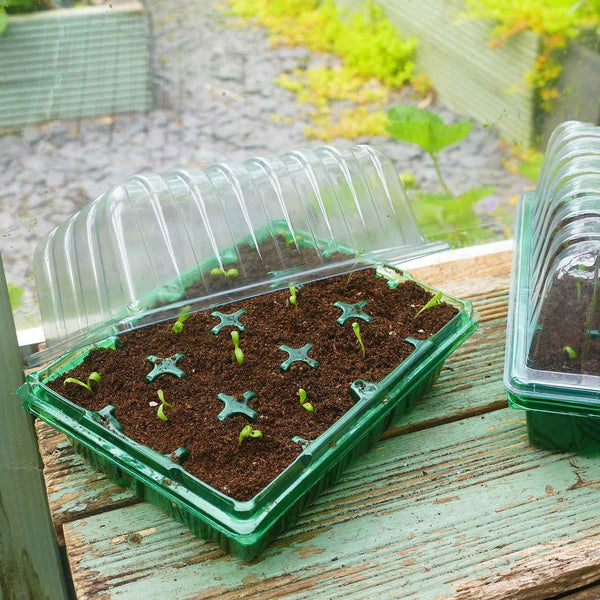 Gro-Sure Visiroot Twin Propagator Set