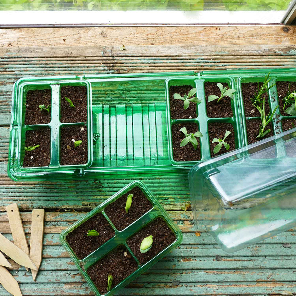 Propagator Kit Propagators | Buy Propagators Online | Propagators For Sale | Marshalls ...