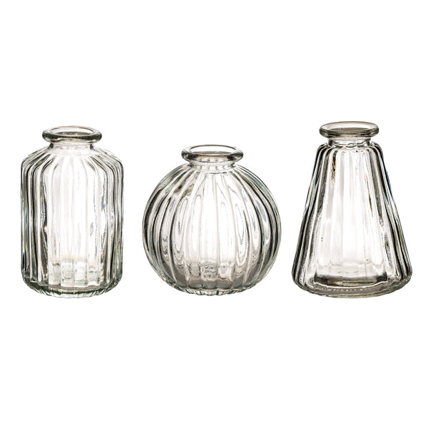 Botanical Glass Bud Vases (3) Clear