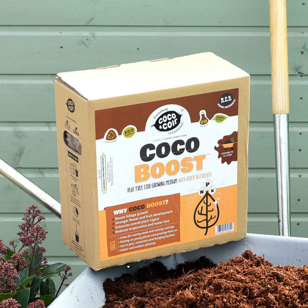 Coco Boost Peat Free Compost with Nutrients