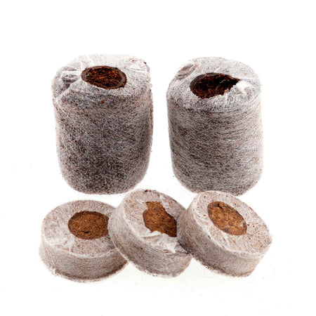 Coco Dots 30mm Peat Free Plug Pellets