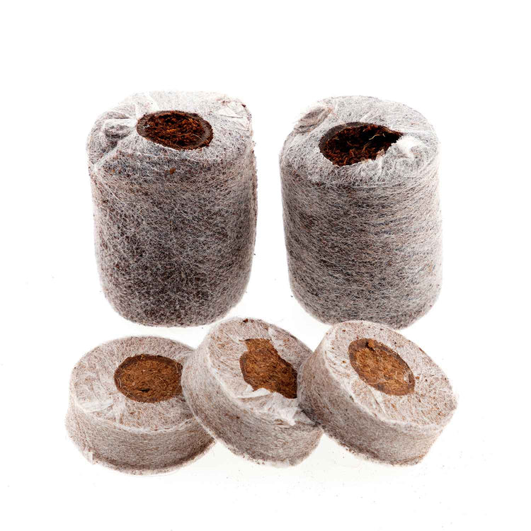 Coco Dots 30mm Peat Free Plug Pellets