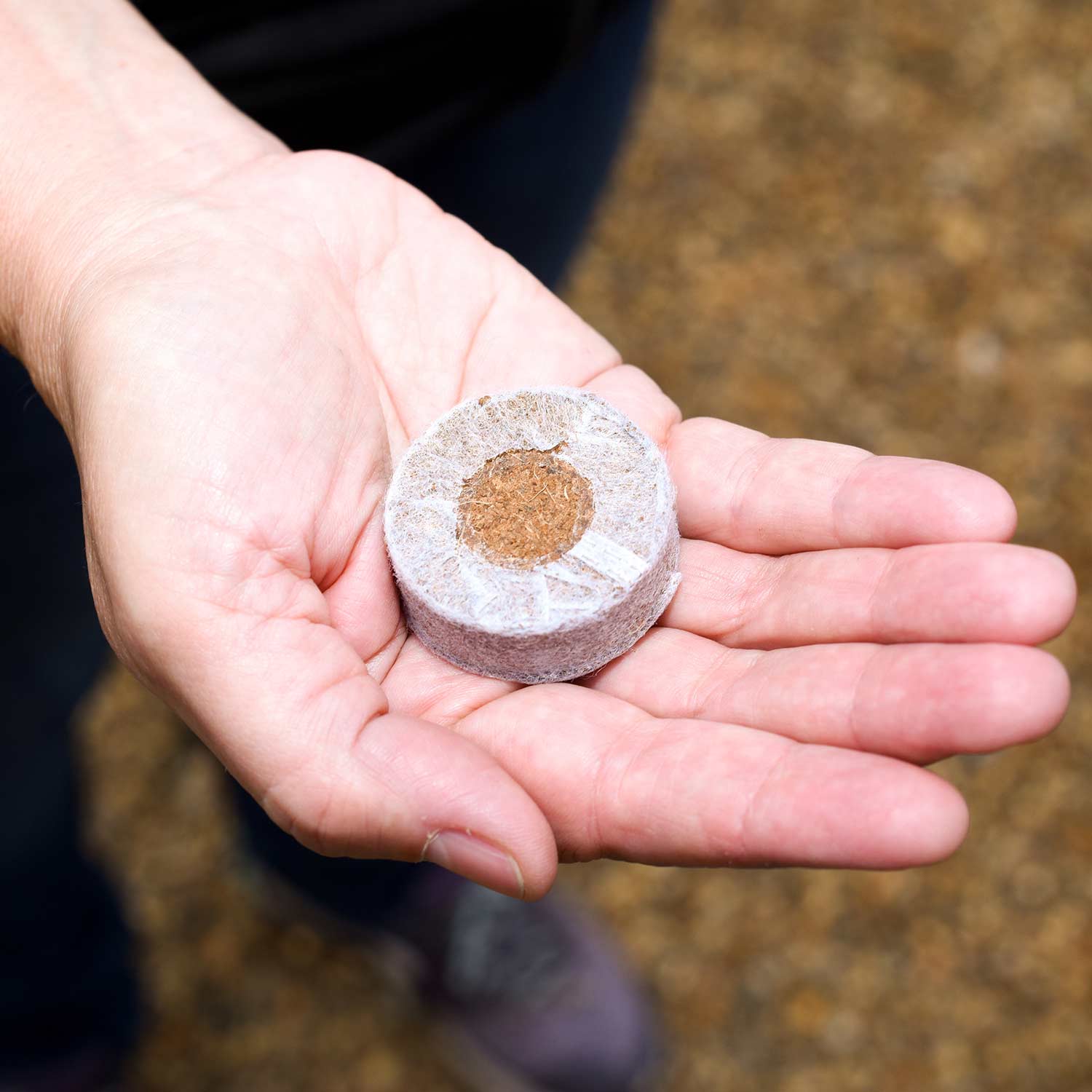 Coco Dots 30mm Peat Free Plug Pellets | Marshalls Garden
