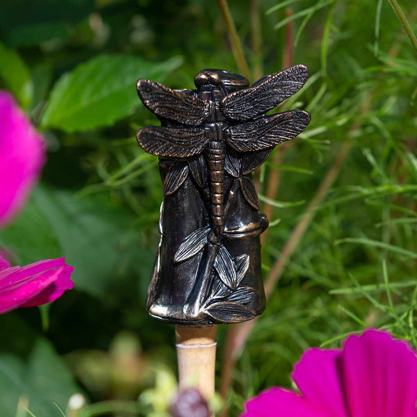 Dragonfly on Bamboo Cane Companion