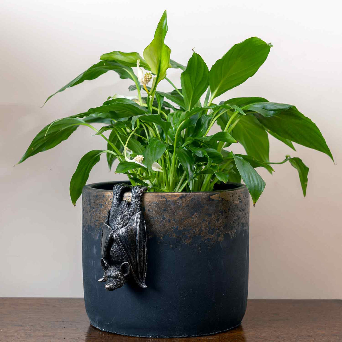 Bat Pot Buddy | Marshalls Garden