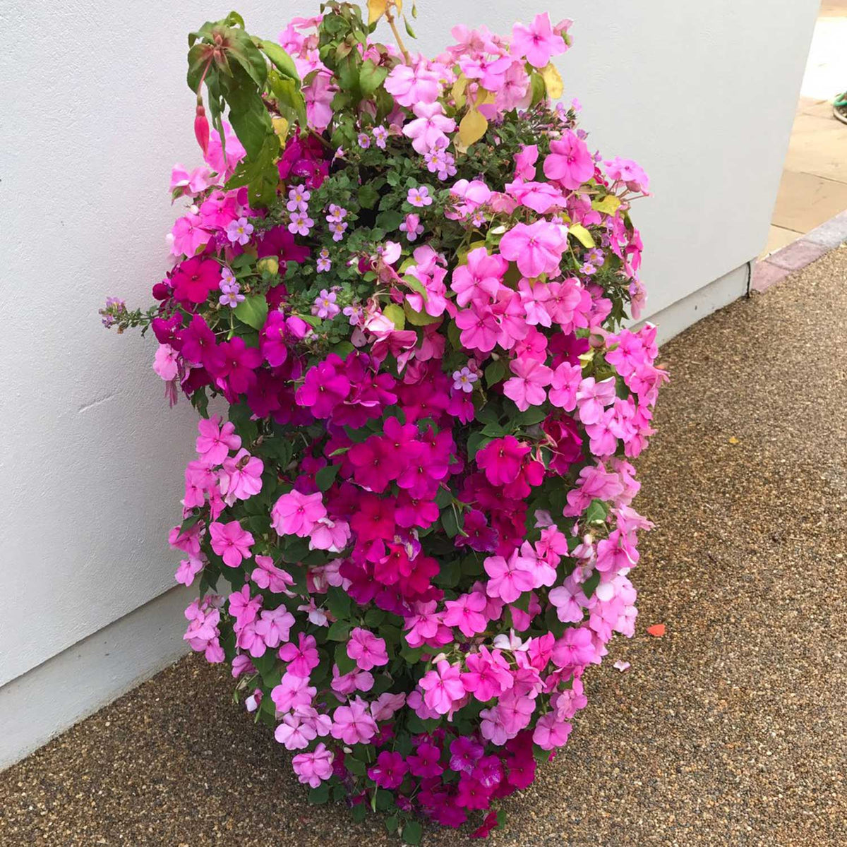 Freestanding Flower Tower Buy Flower Tower Online Marshalls Garden