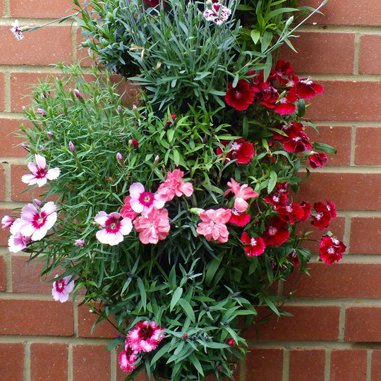 Wall Mounted Flower Tower Buy Flower Tower Online Flower Tower for