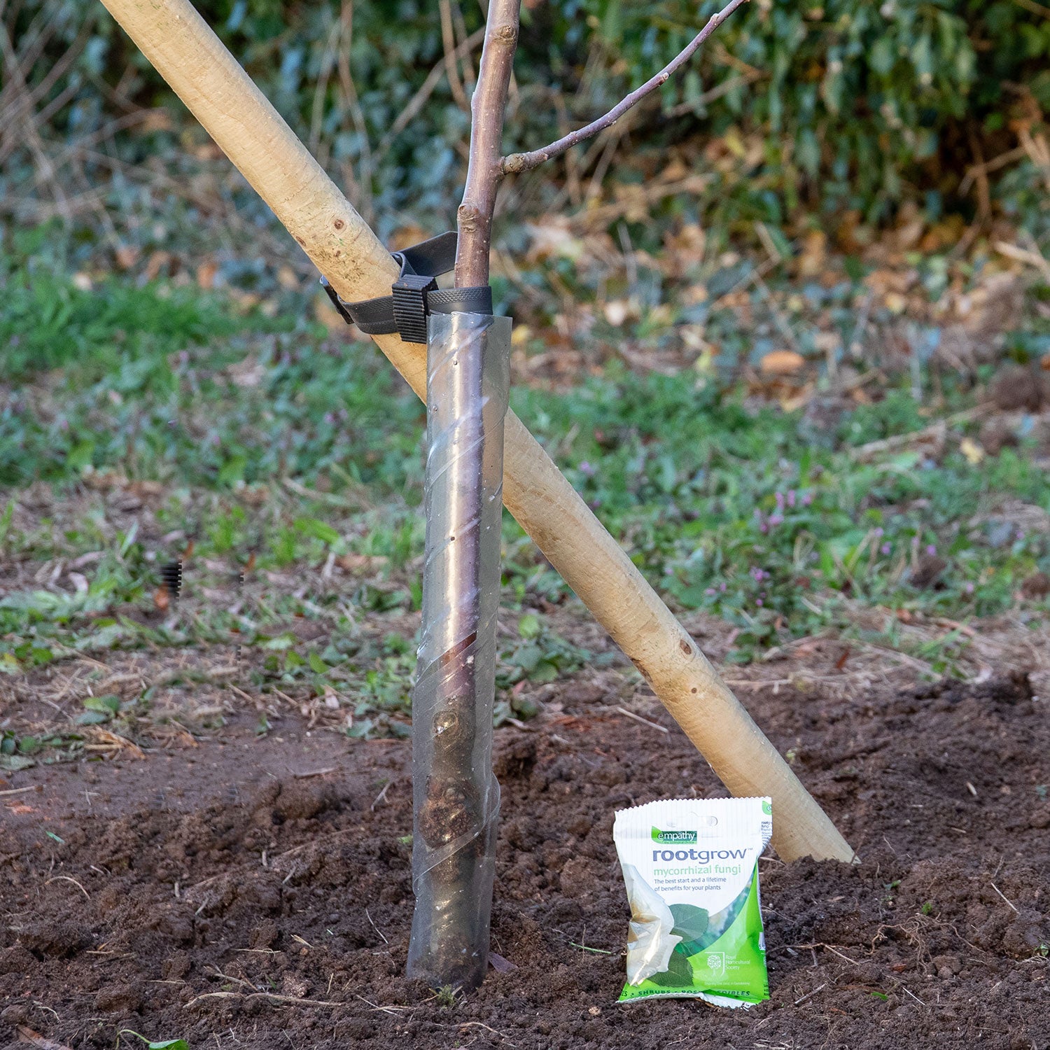 Tree Planting Kit - Small | Marshalls Garden