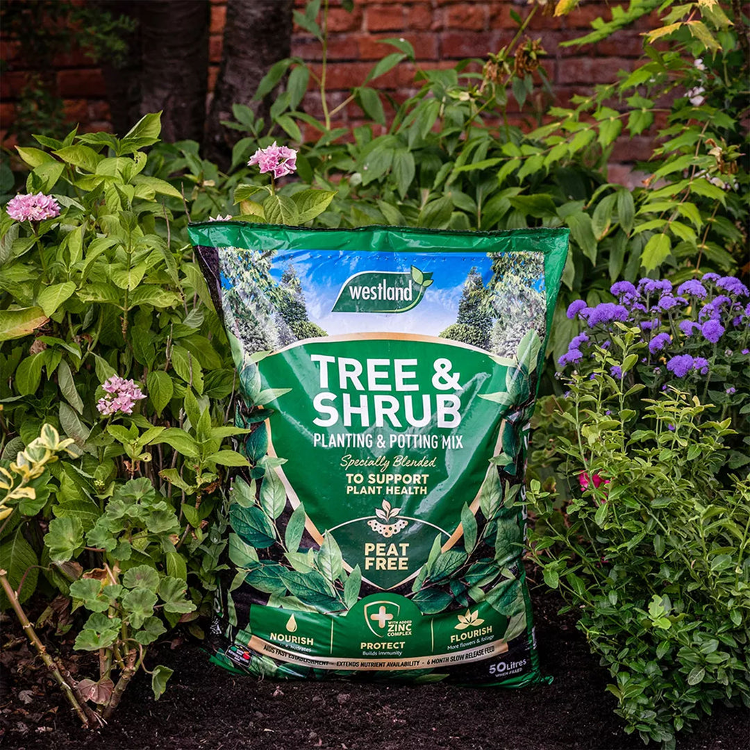 Westland Tree & Shrub Planting Mix 50 Litre Buy Tree & Shrub Planting