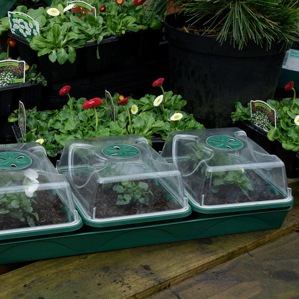 Heated 3-Bay Windowsill Propagator