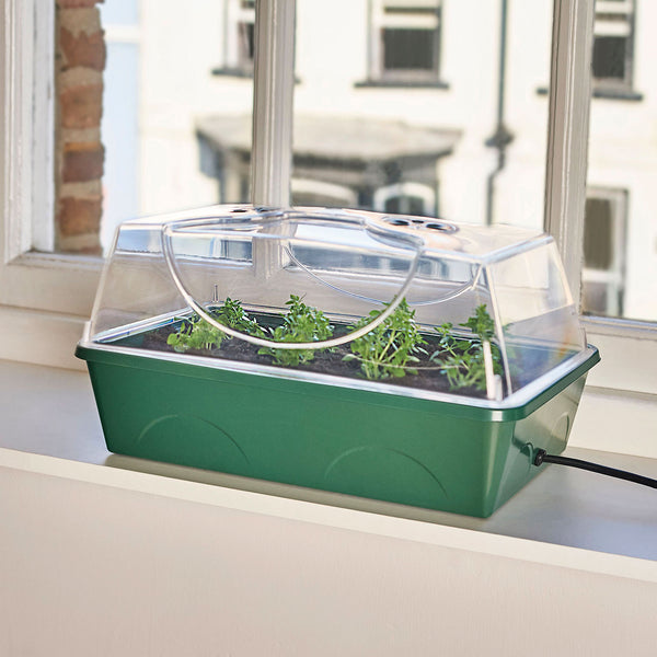 Heated Medium Propagator