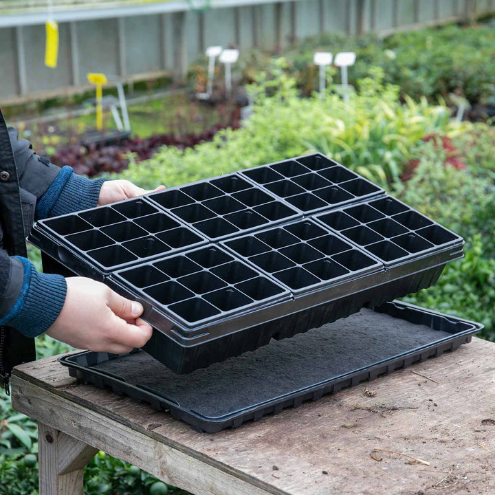 Greenhouse Growing Kit Buy Greenhouse Growing Kit Online Marshalls