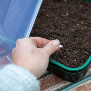 Gravel Trays : Greenhouse Equipment and Accessories from Allotment