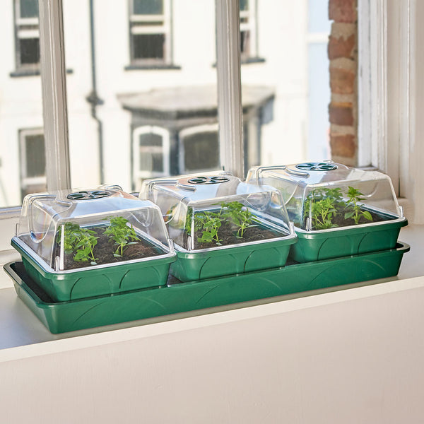 Windowsill Unheated Propagator 3-Bay with Capillary Mat and Tray