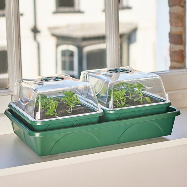 Unheated Propagator 2-Bay with Capillary Mat and Tray