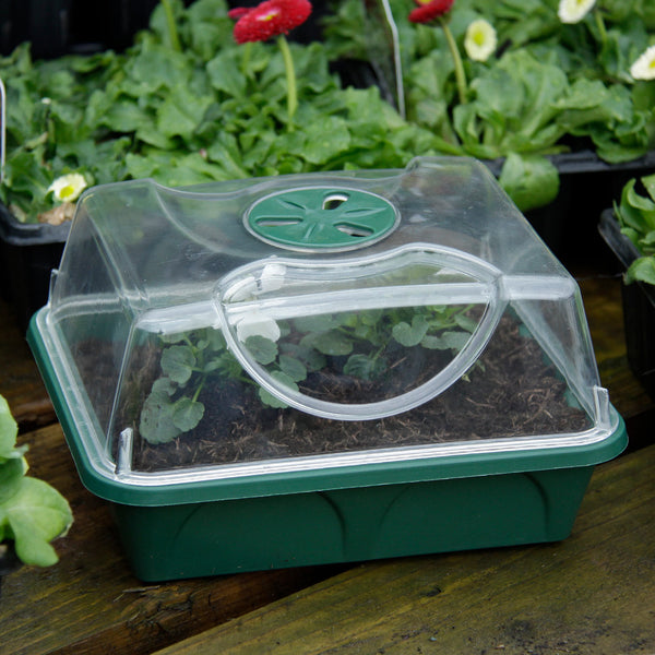 Small Unheated Propagator - 4 Pack