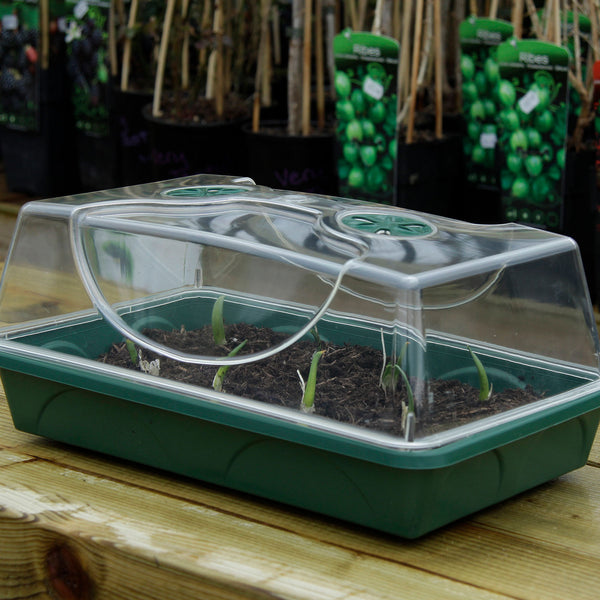 Medium Unheated Propagator - Twin Pack