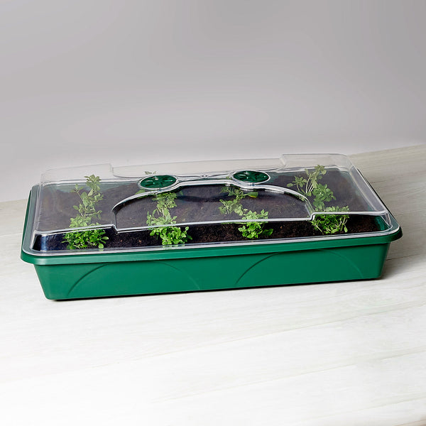 Large Unheated Propagator with Shallow Lid