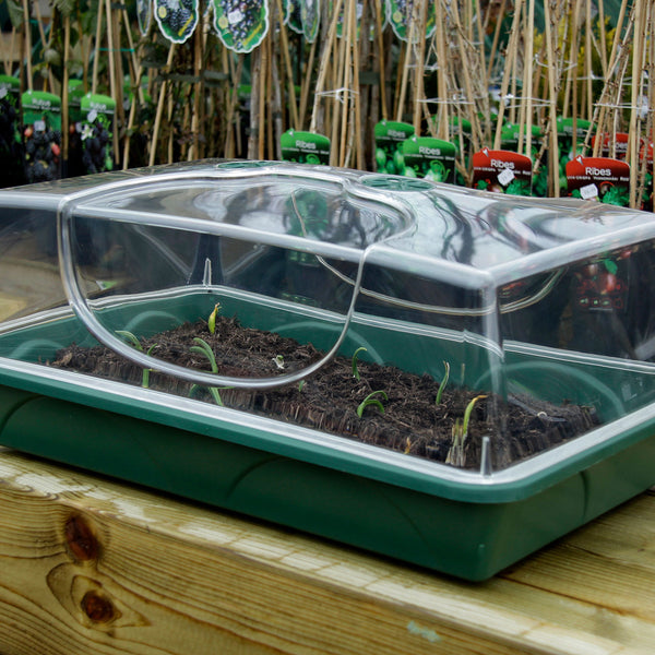 Large Unheated Propagator with Deep Lid