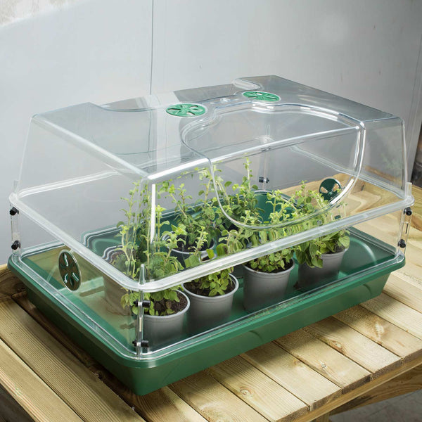 Large Propagator with Height Extender