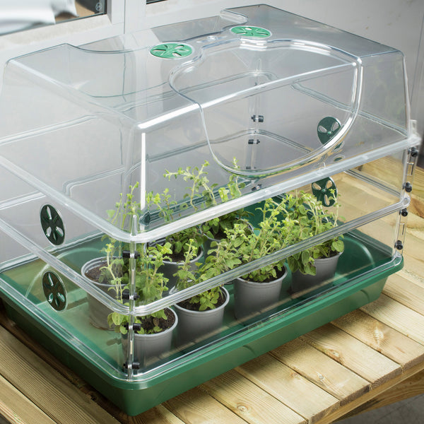 Large Propagator with Double Height Extender