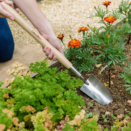 Kent & Stowe Stainless Steel Border Hand Trowel