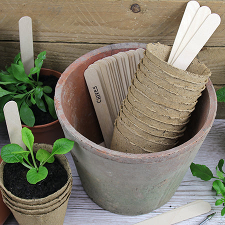 Wooden Plant Markers (100)