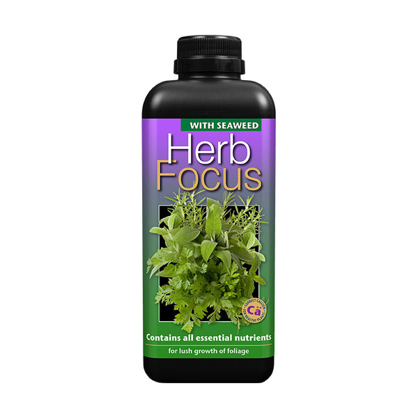 Herb Focus Plant Feed